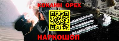 крисы Партизанск