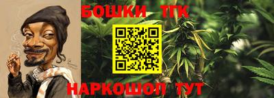 крисы Партизанск