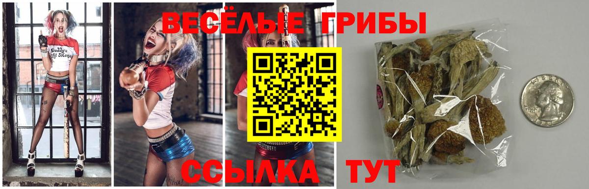 Серпухов  Псилоцибиновые грибы MAGIC MUSHROOMS  Вход с VPN 