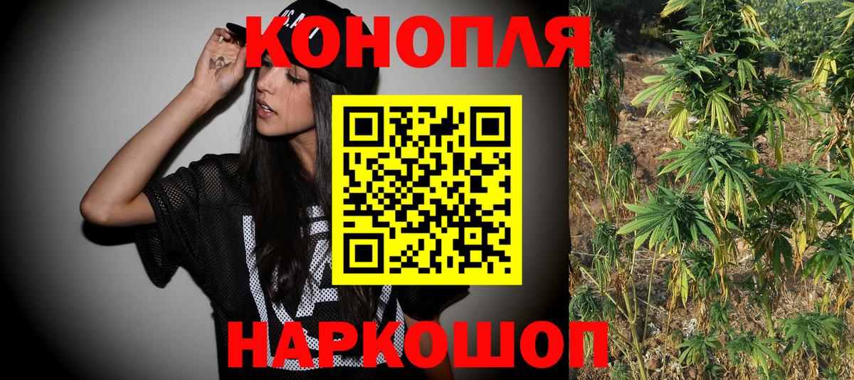 Бошки Шишки планчик Серпухов